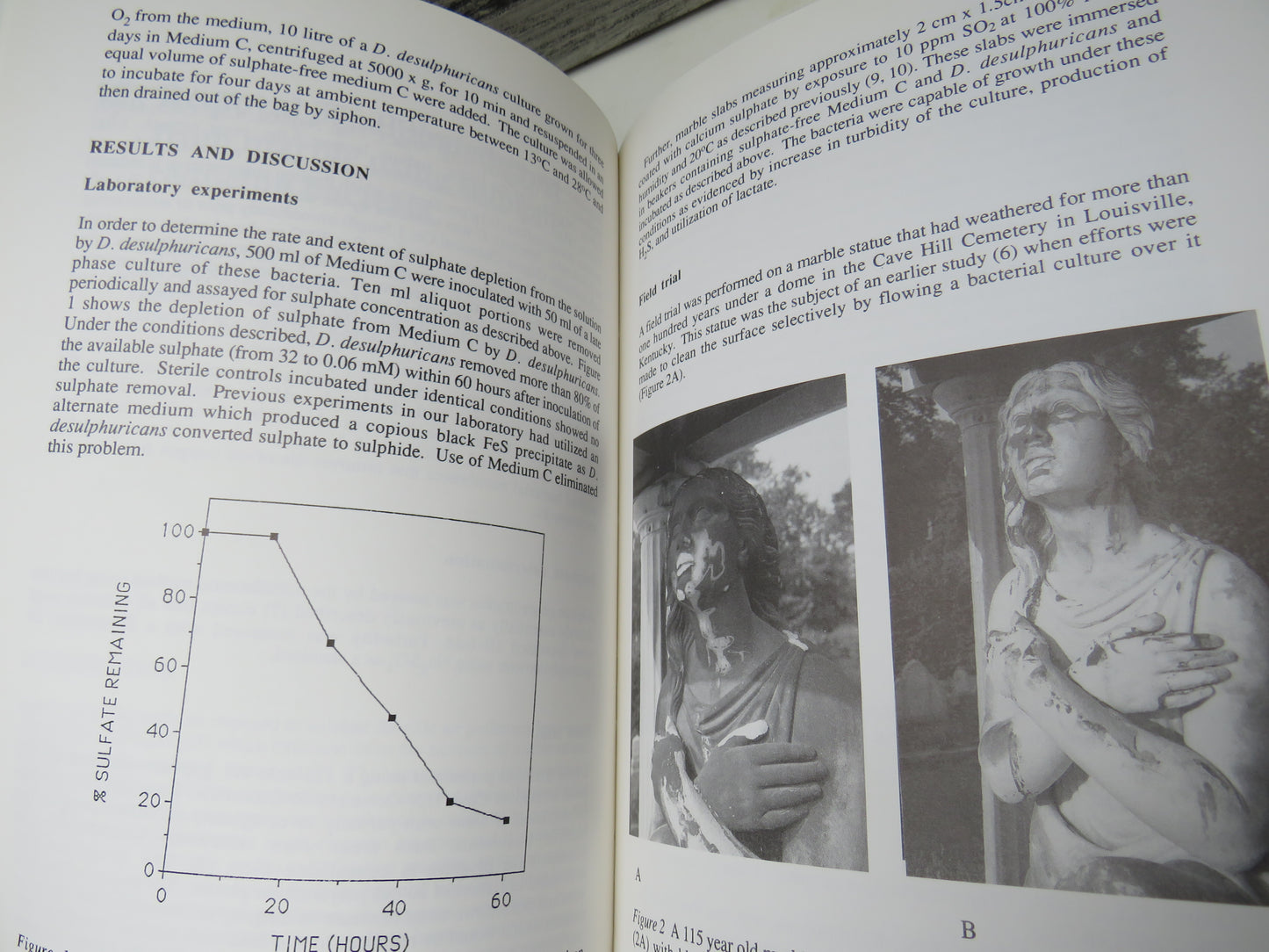 Stone Cleaning and The Nature, Soiling and Decay Mechanisms of Stone 1992