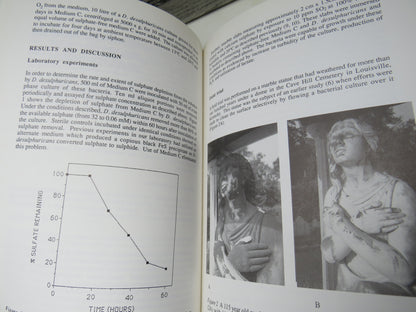 Stone Cleaning and The Nature, Soiling and Decay Mechanisms of Stone 1992 book image 6