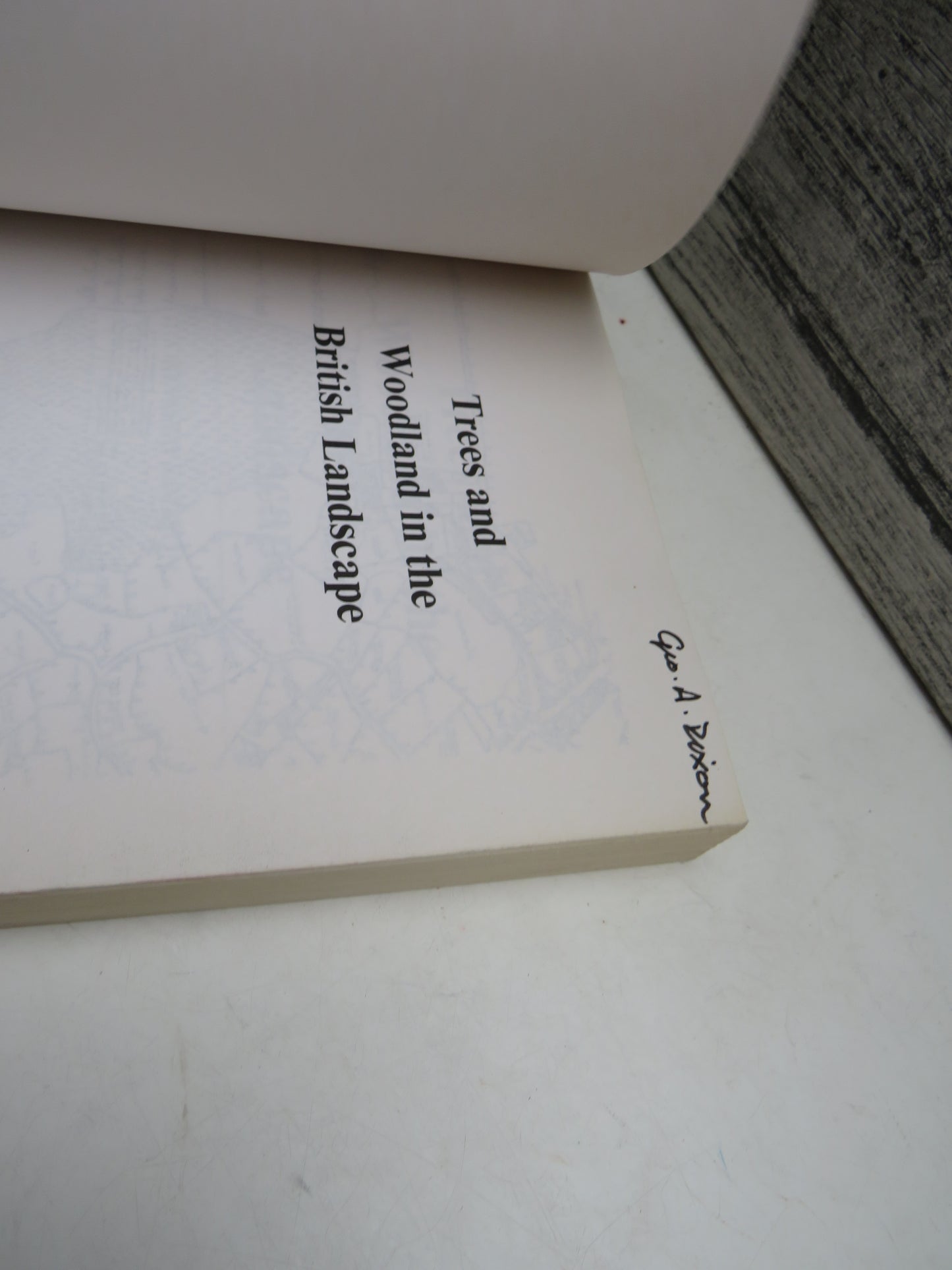 Trees and Woodland In The British Landscape Revised Edition By Oliver Rackham 1995