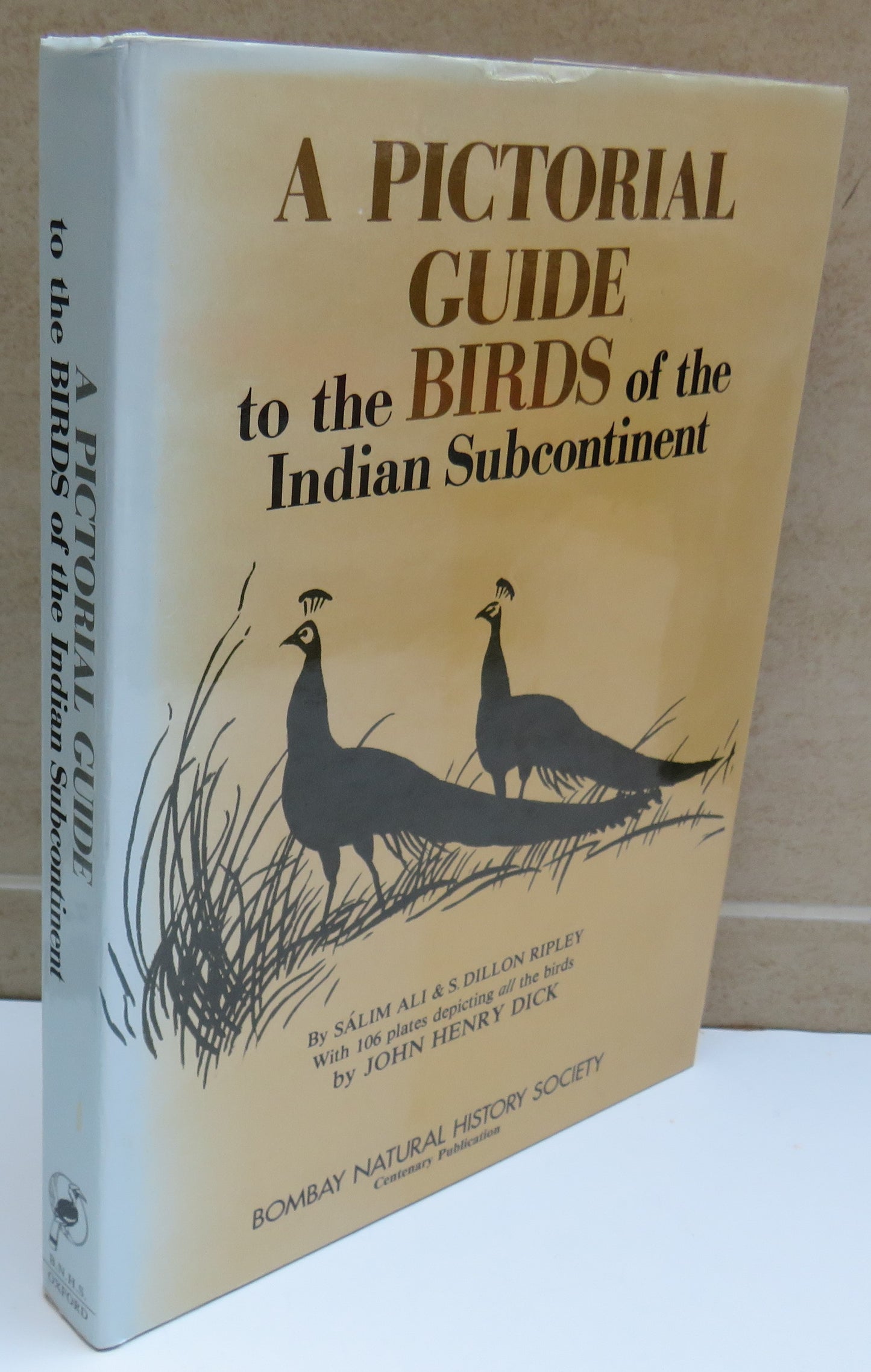 A Pictorial Guide To The Birds of the Indian Subcontinent By Salim Ali 1983