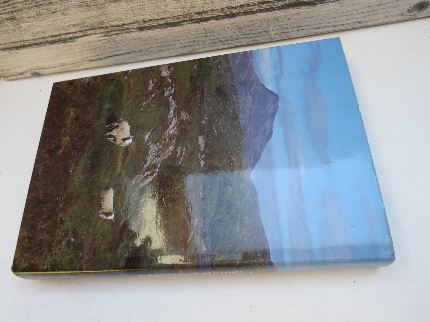 The Sutherland Book Edited By Donald Omand 1985