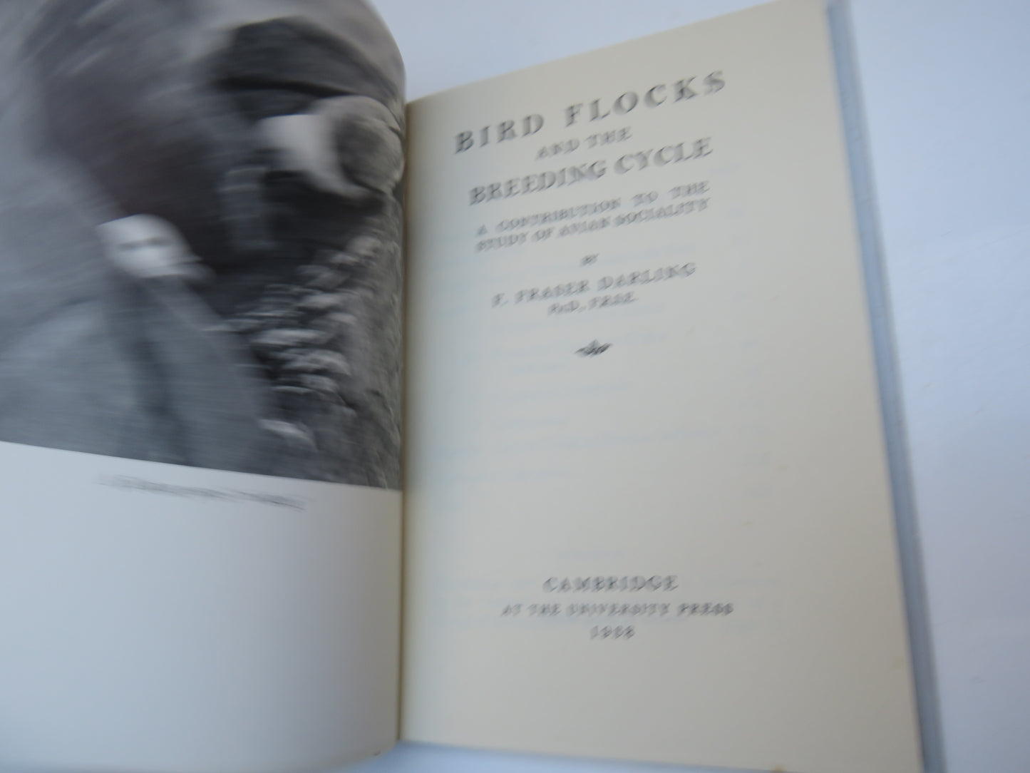 Bird Flocks And The Breeding Cycle A Contribution To The Study of Avian Sociality By F. Fraser Darling 1938