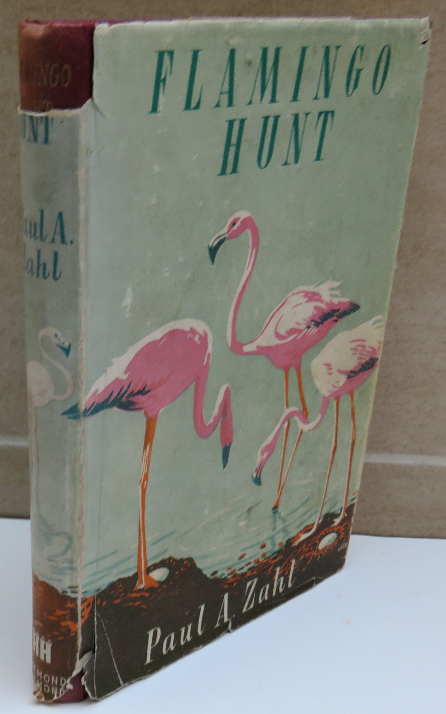 Flamingo Hunt By Paul A. Zahl 1953 1st Edition