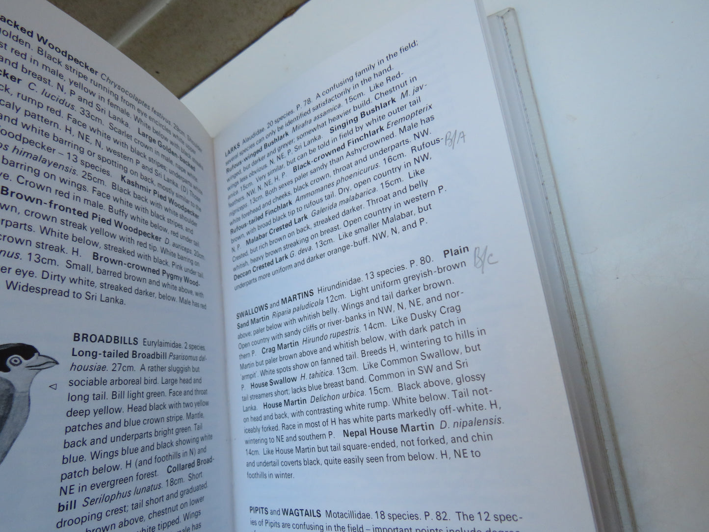 Collins Handguide To The Birds of the Indian Sub-Continent 1980