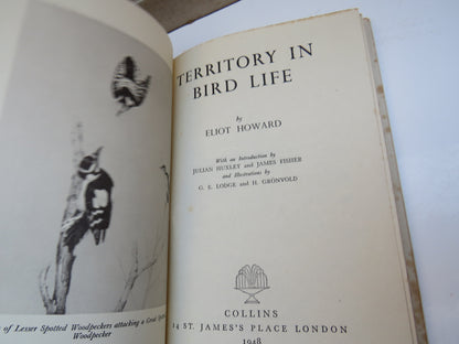 Territory In Bird Life by Eliot Howard 1948 book image 4