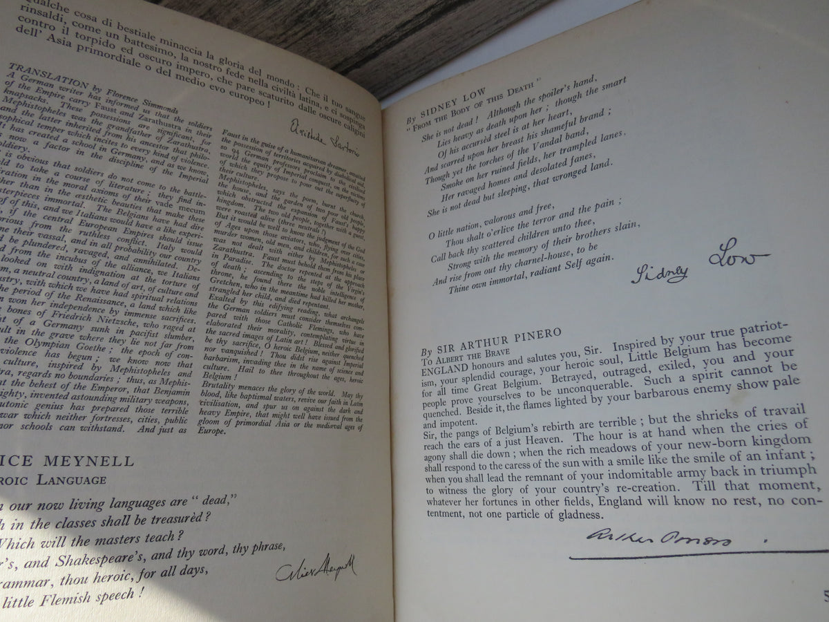 King Albert's Book A Tribute To The Belgian People From Representative Men and Women Throughout The World (Copy)