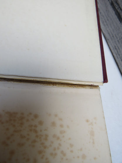 Wasa-Wasa A Tale of Trails and Treasure By Harry Macfie and Hans G. Westerlund 1951 book image 3