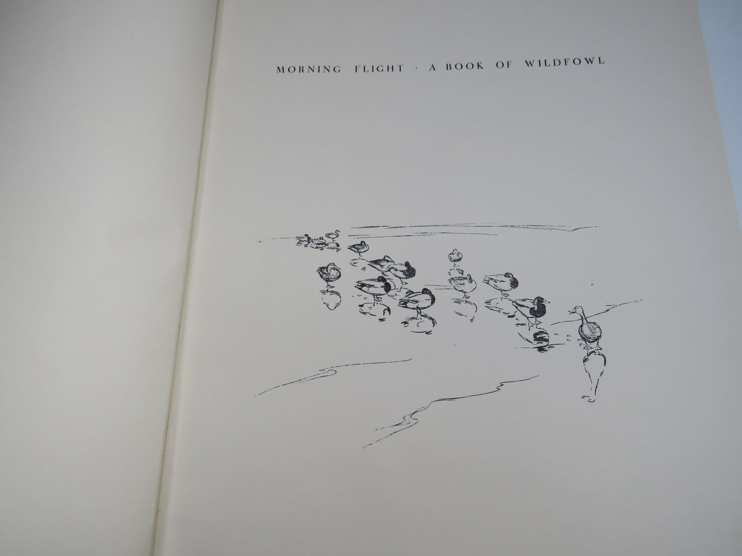 Morning Flight A Book of Wildfowl Written and Illustrated By Peter Scott 1950