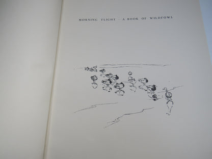 Morning Flight A Book of Wildfowl Written and Illustrated By Peter Scott 1950