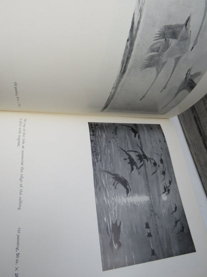 Morning Flight A Book of Wildfowl Written and Illustrated By Peter Scott 1950