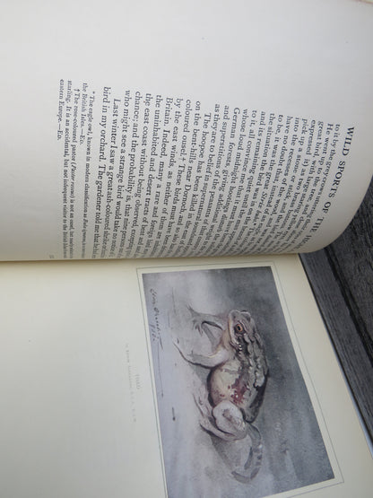 Wild Sports & Natural History of the Highlands By Charles St John 1919 1st Edition