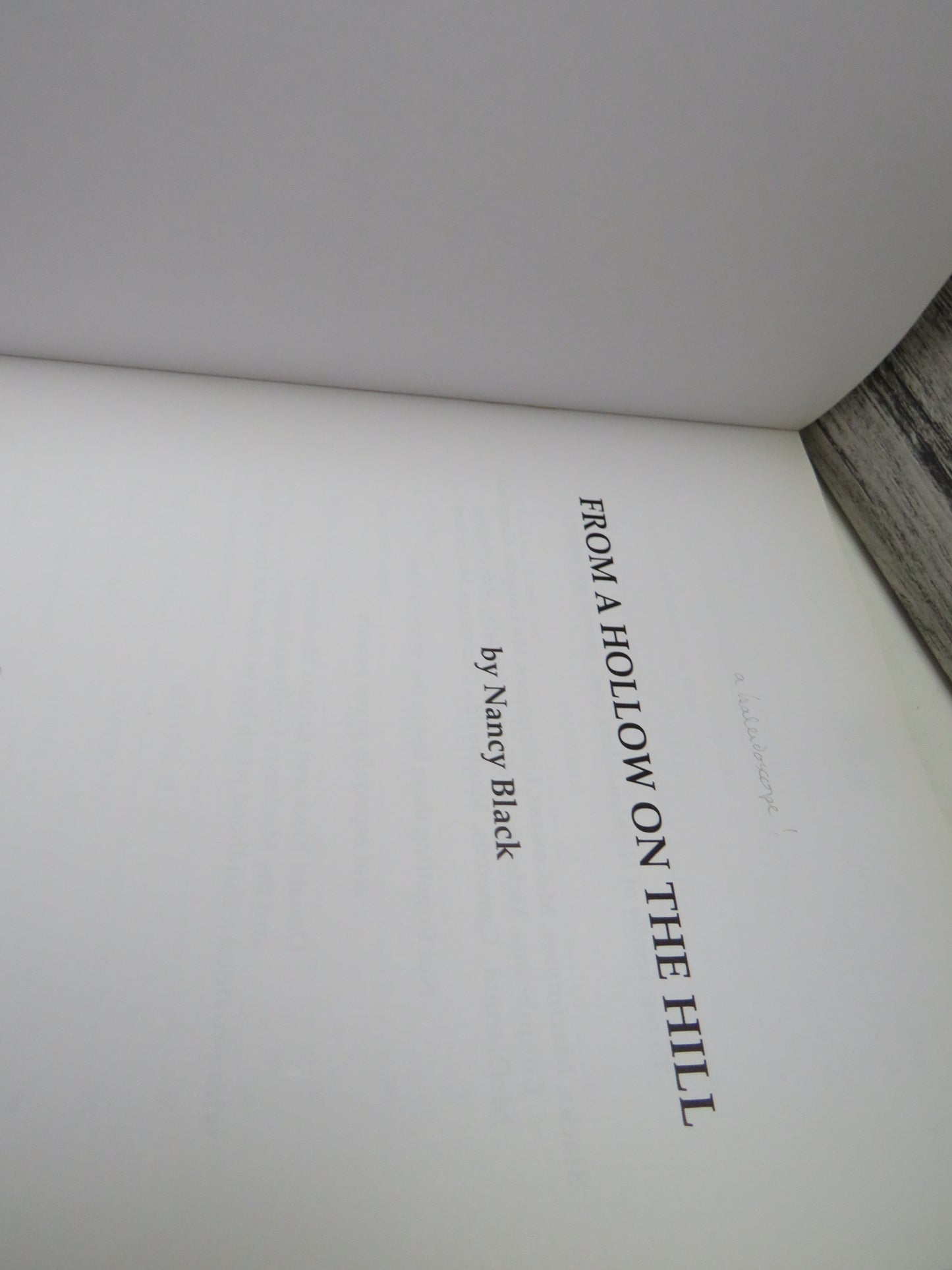 From A Hollow on The Hill By Nancy Black 1999