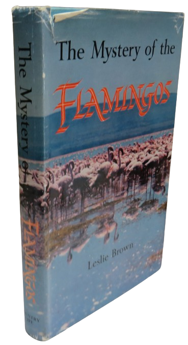 The Mystery of the Flamingos by Leslie Brown 1959 1st Edition book front cover