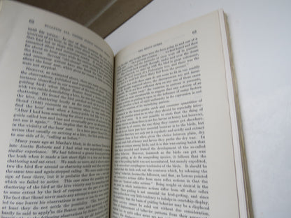 The Honey-Guides By Herbert Friedmann 1955 book image 5