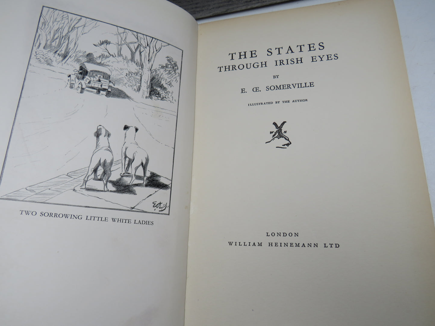 The States Through Irish Eyes By E. OE. Somerville 1931 1st Edition