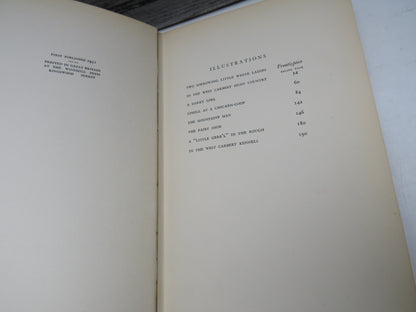 The States Through Irish Eyes By E. OE. Somerville 1931 1st Edition
