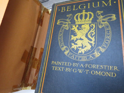Belgium Painted by Amedee Forestier, Text by George W. T. Omond (Art & Travel Book, 1908) book image 7