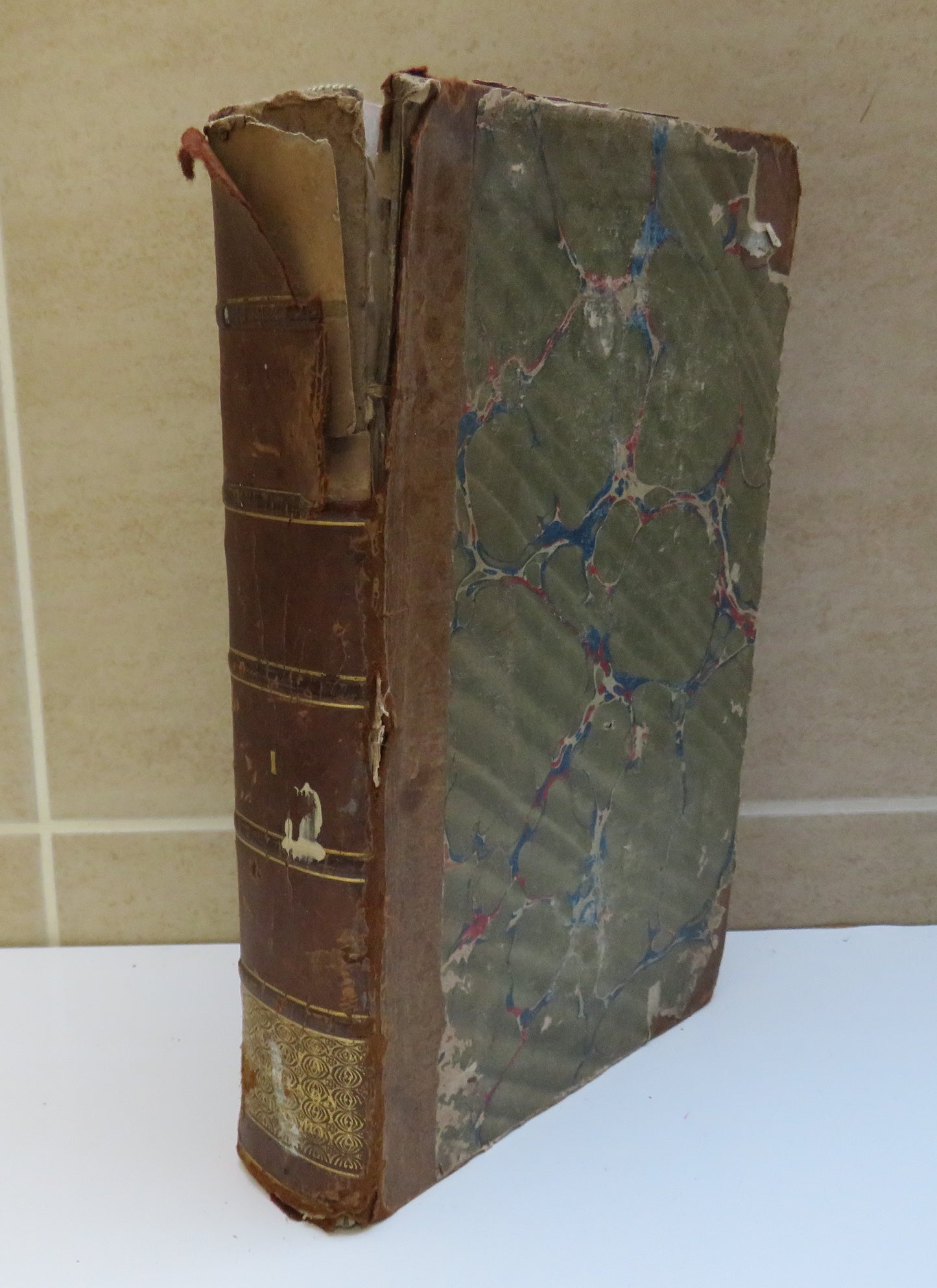 Diary Of Thomas Burton Esq Member In The Parliaments of Oliver and Richard Cromwell From 1656 to 1659 By John Towill Rutt Vol I 1828