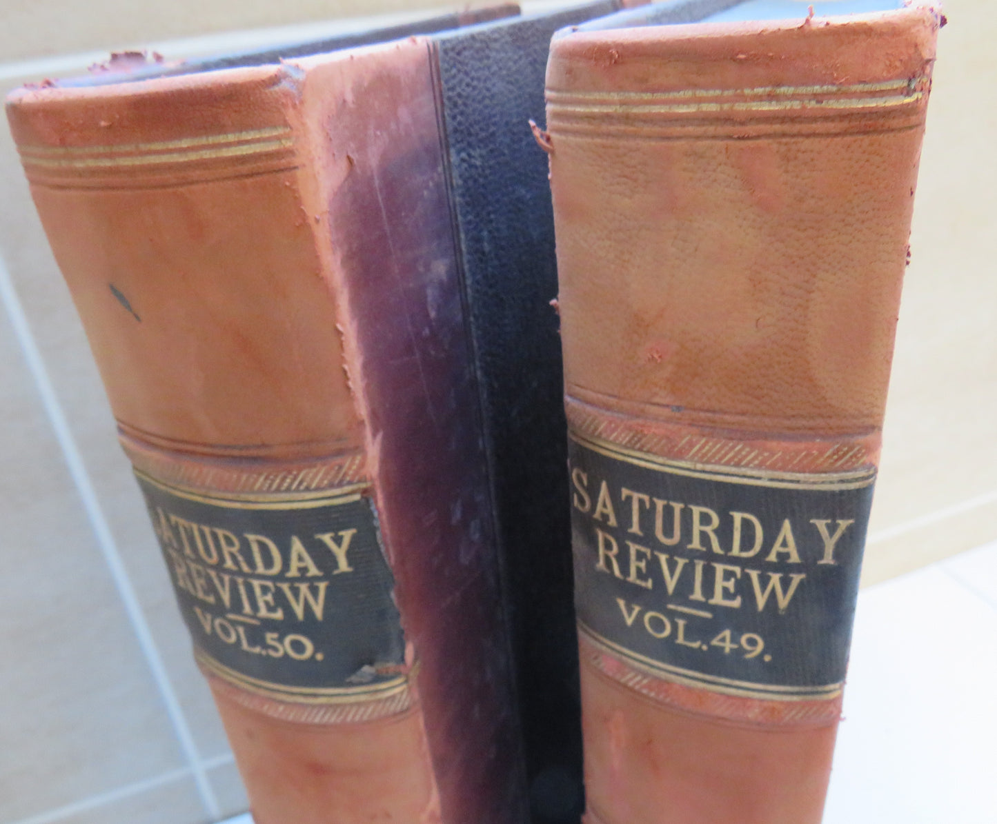 The Saturday Review Of Politics, Literature, Science and Art Volume 49 & 50 1880