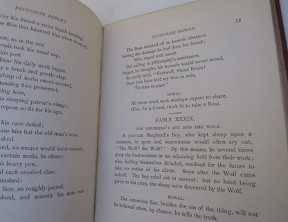 Favourite Fables, In Prose and Verse With 24 Illustrations By Harrison Weir 1870 book image 7