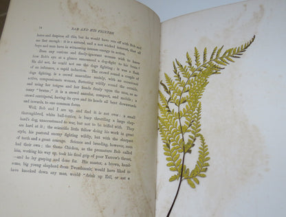 Rab And His Friends By John Brown M.D. 1878 book image 5