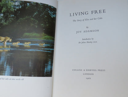 Living Free The Story Of Elsa and Her Cubs By Joy Adamson 1961 book image 4