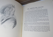 Load image into Gallery viewer, A Bird-Painter&#39;s Sketch Book Written and Illustrated By Philip Rickman 1935
