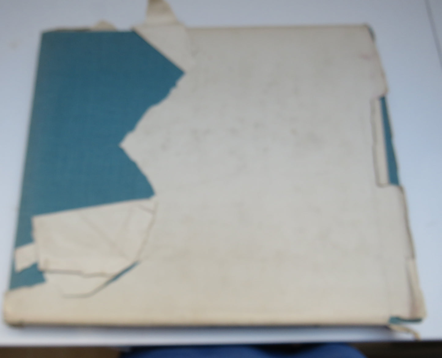 A Bird-Painter's Sketch Book Written and Illustrated By Philip Rickman 1935
