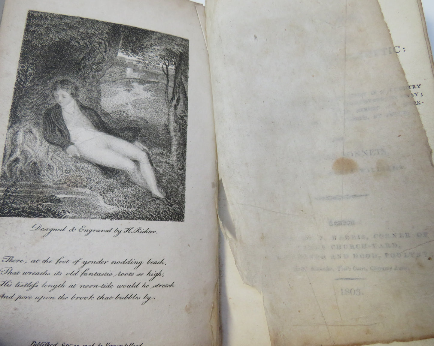 Poems, Moral, Elegant and Pathetic: Viz. And Original Sonnets By Helen Maria Williams 1803