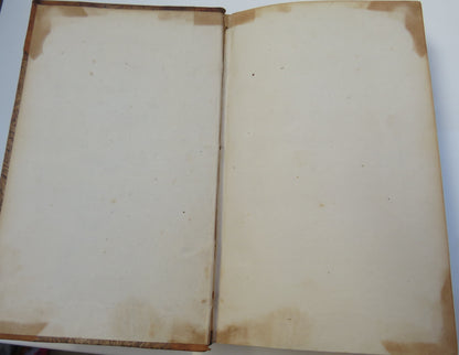 Essays, Biographical, Critical, and Historical, Illustrative Of The Rambler, Adventurer And Idler, book image 4
