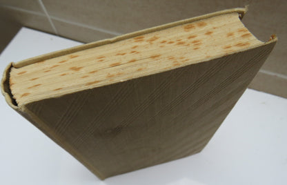 Gone Rustic By Cecil Roberts book image 3