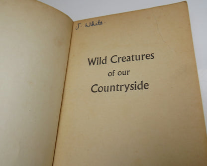 Wild Creatures Of Our Countryside By Gwen Mandley book image 3