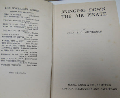 Bringing Down The Air Pirate By John F.C Westerman book image 3