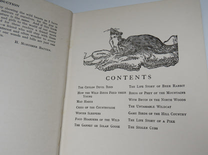 Woodland Stories By H.Mortimer Batten F.Z.S book image 4