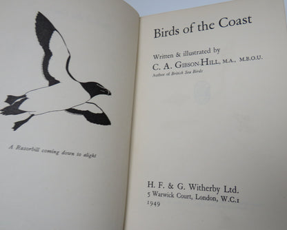 Birds Of The Coast Written & Illustrated By C.A.Gibson Hill book image 4