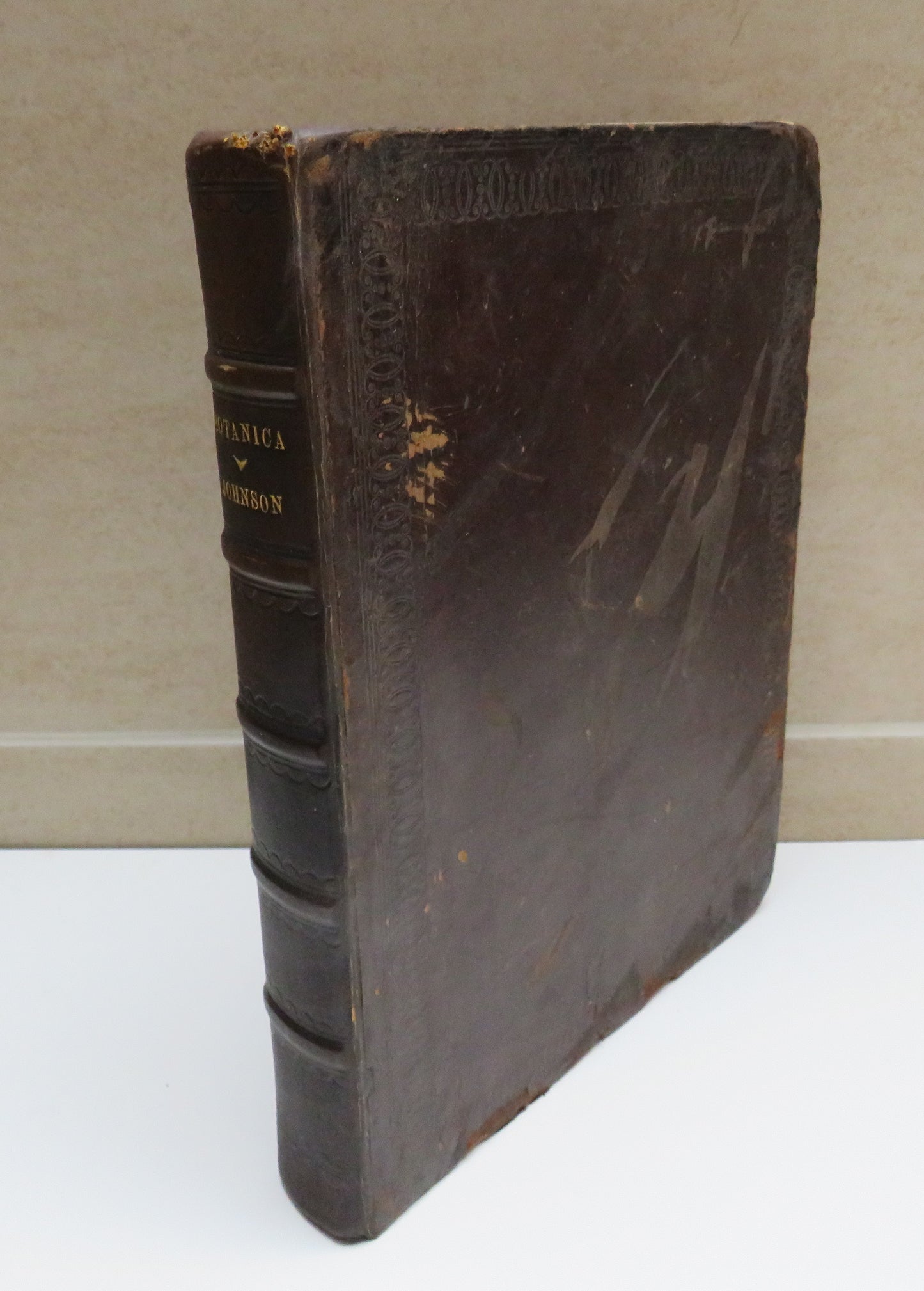 Opuscula Omnia Botanica Thomae Johnsoni 1837 Reprint From 1629 Edition