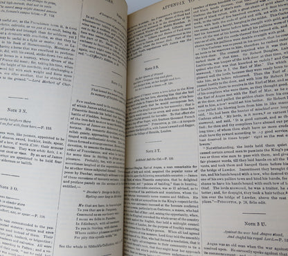 The Lay Of The Last Minstrel And Marmion By Sir Walter Scott 1892 book image 5