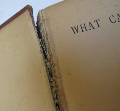 What Can She Do? A Story By The Rev. E.P Roe book image 4