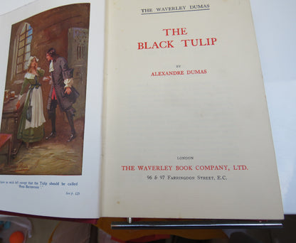 The Black Tulip By Alexandre Dumas book image 3