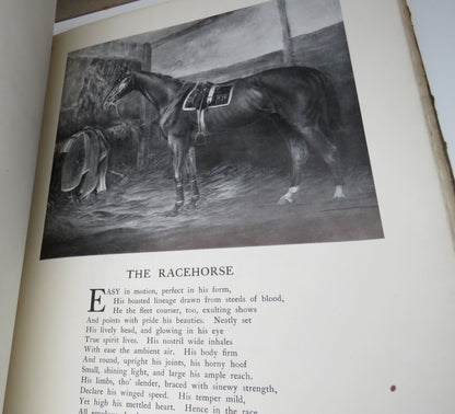 Twenty Sporting Designs With Selections From The Poets By George A.Fothergill Author Signed book image 8
