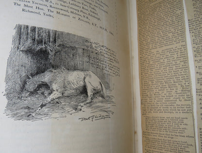 Twenty Sporting Designs With Selections From The Poets By George A.Fothergill Author Signed book image 14